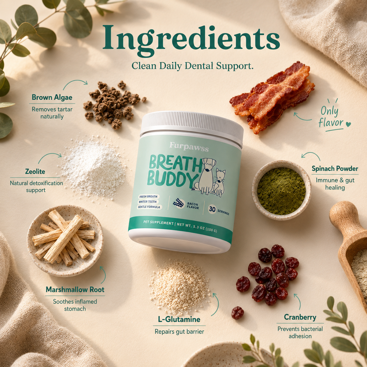 Daily Dental Powder for Fresh Breath & Clean Teeth