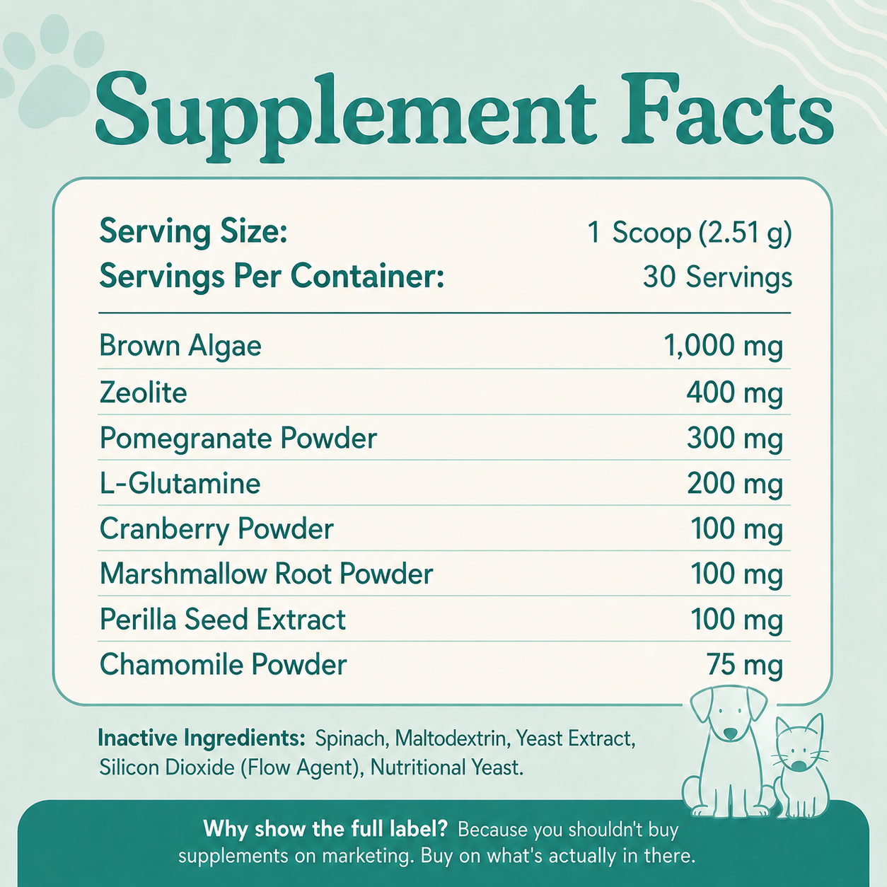 Daily Dental Powder for Fresh Breath & Clean Teeth