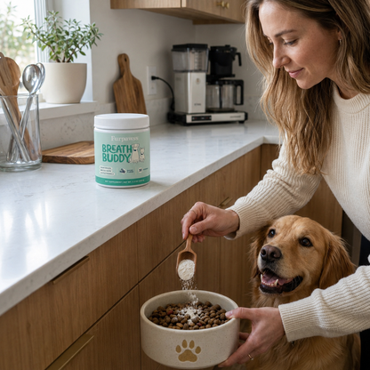 Daily Dental Powder for Fresh Breath & Clean Teeth